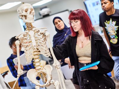 Bild für Ausbildungsberuf