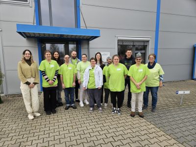 Strukturentwicklung_TSK