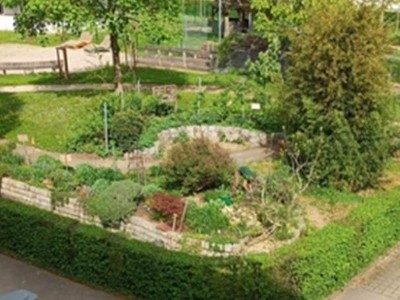 Vorschau_Beetentwicklung